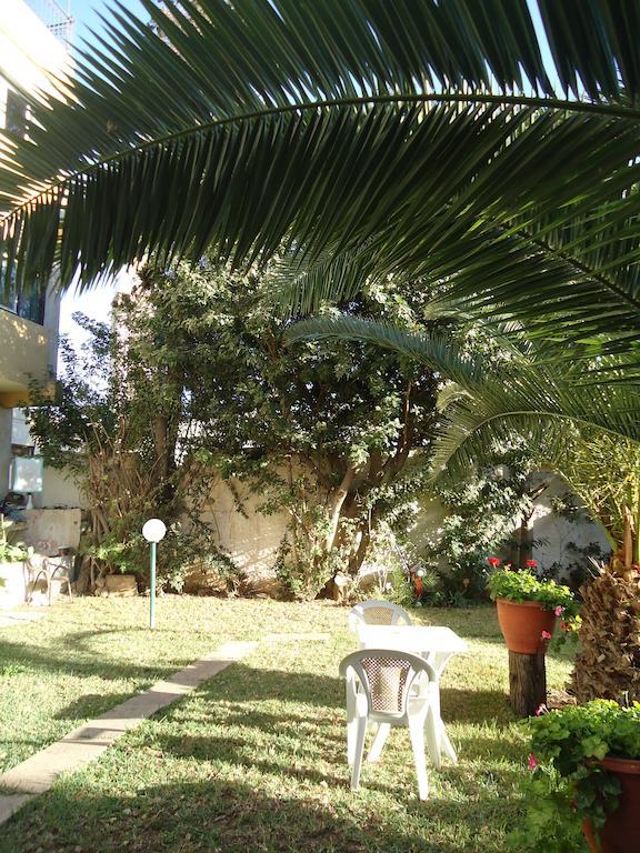 Takad Dream Studios Agadir Kamer foto